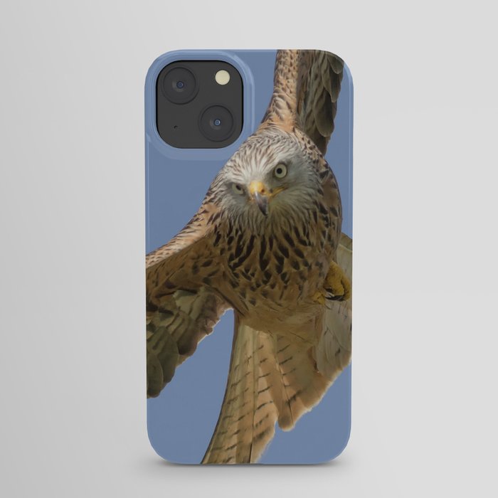 Red Kite iPhone Case
