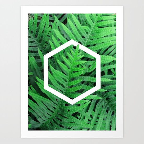 Exagon into the ferns Art Print