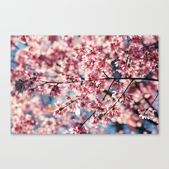 Painting the Town Pink Canvas Print