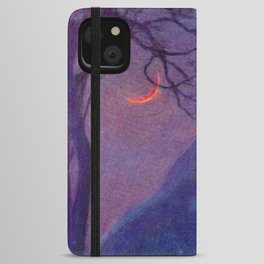 “We have voided all but freedom and all but our own joy” Leaves of Grass by Margaret Cook iPhone Wallet Case