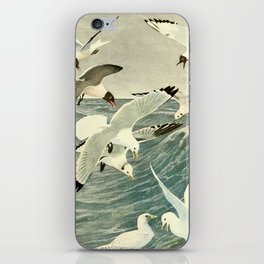 Seagulls iPhone Skin