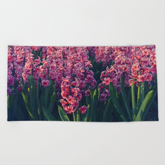 Hyacinth field #2 Beach Towel