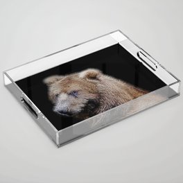 Spiked Brown Bear Acrylic Tray
