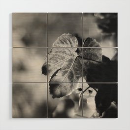 Autumn Grape Leaf in Black and White Wood Wall Art