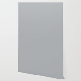 Best Seller Pale Gray Solid Color Parable to Jolie Paints French Grey - Shade - Hue - Colour Wallpaper
