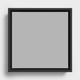 Brain Stem Gray Framed Canvas