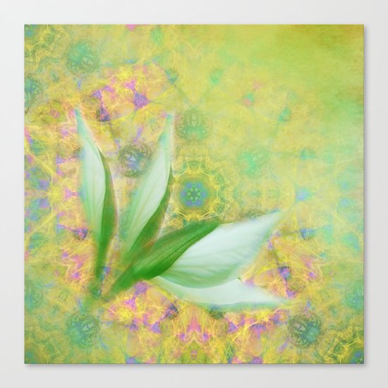 Bauhinia buds against textured green background Canvas Print