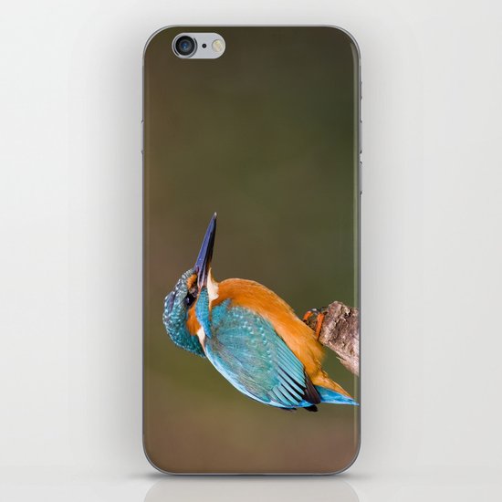 KINGFISHER iPhone & iPod Skin