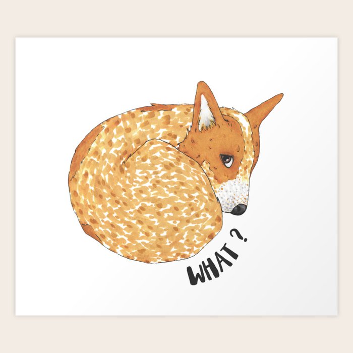 Red Heeler What Art Print By Artwork By Ak Illustrations Society6