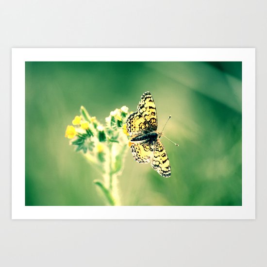 Dream in Flight Art Print