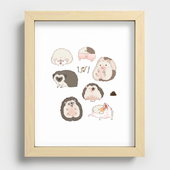Bunch of plump hedgies Recessed Framed Print