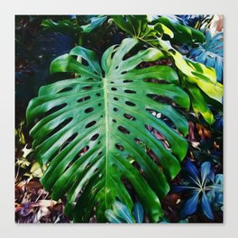 Monstera deep green tropical Canvas Print