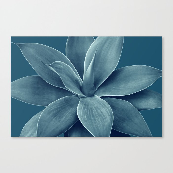 Blue Agave Romance #1 #tropical #decor #art #society6 Canvas Print