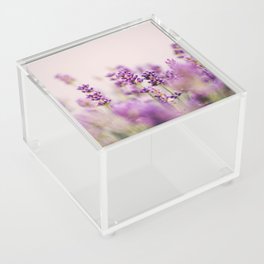 Lavender Close-up | Nature photography Acrylic Box