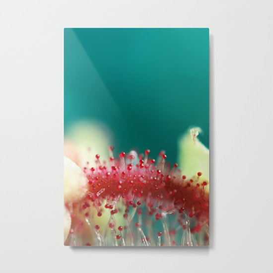 Pride Metal Print