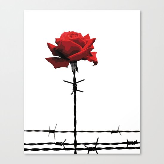 Barbed wire red rose Canvas Print