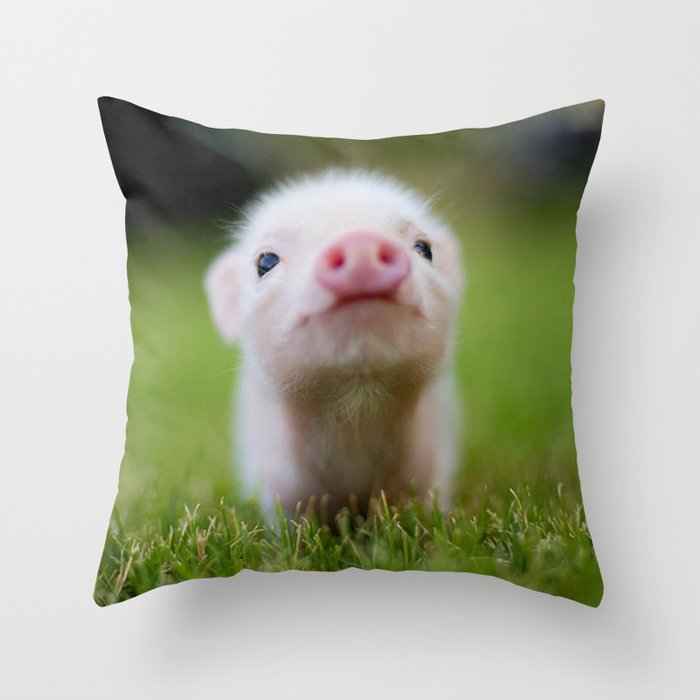 Little Pig Throw Pillow