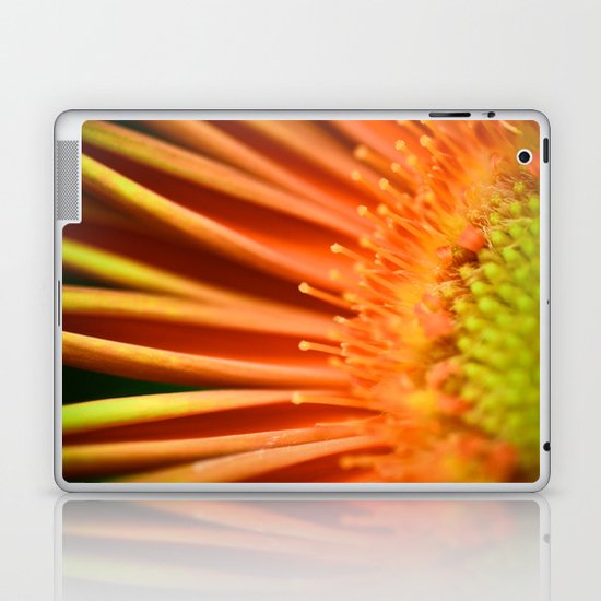 Glass Half Full Laptop & iPad Skin