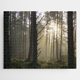 Winter Sun Beams in a Scottish Forest Jigsaw Puzzle