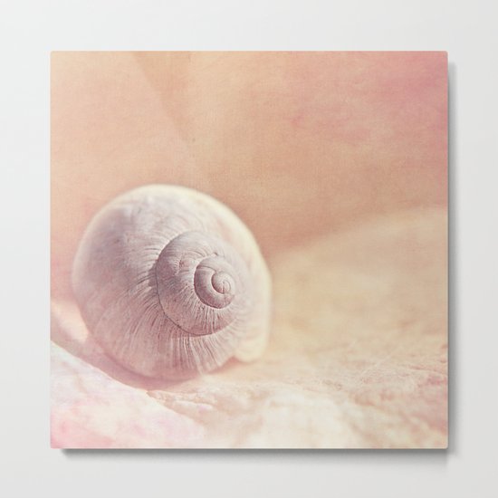 APRICOTEE - Monochrome still life with pink snail shell Metal Print