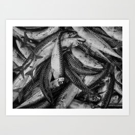 Gone Fishin' Art Print | Black and White, Animal, Photo, Nature 