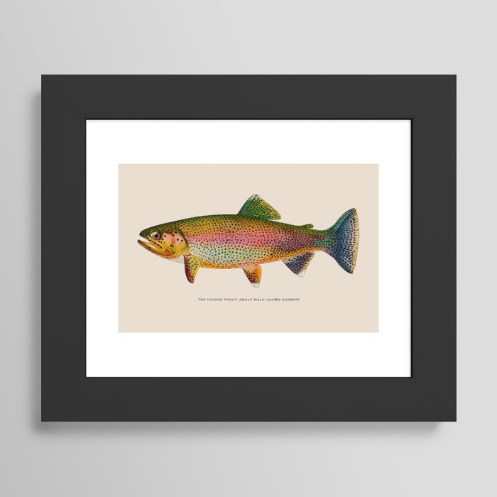 Framed Art Print