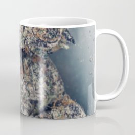 240 Coffee Mug