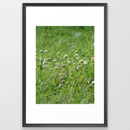 Nature Framed Art Print