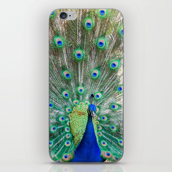 Majestic Peacock  iPhone Skin