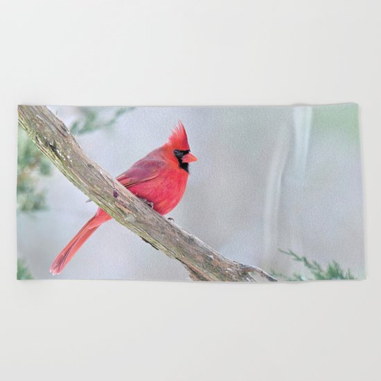 Grumpy Cardinal Beach Towel