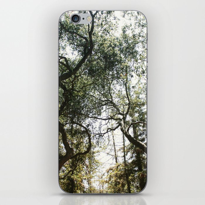 Among the Trees iPhone Skin