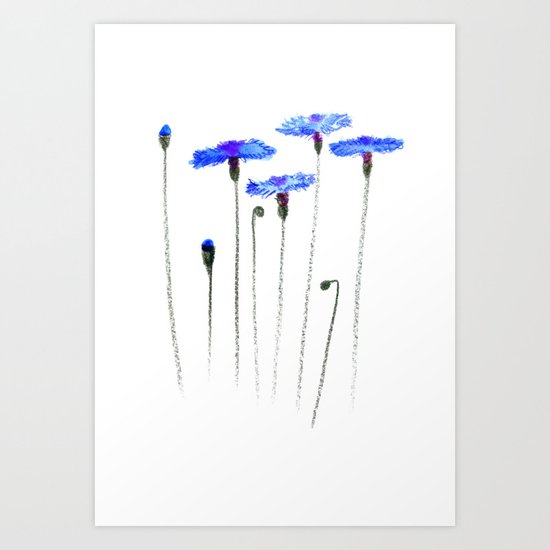 cornflowers Art Print