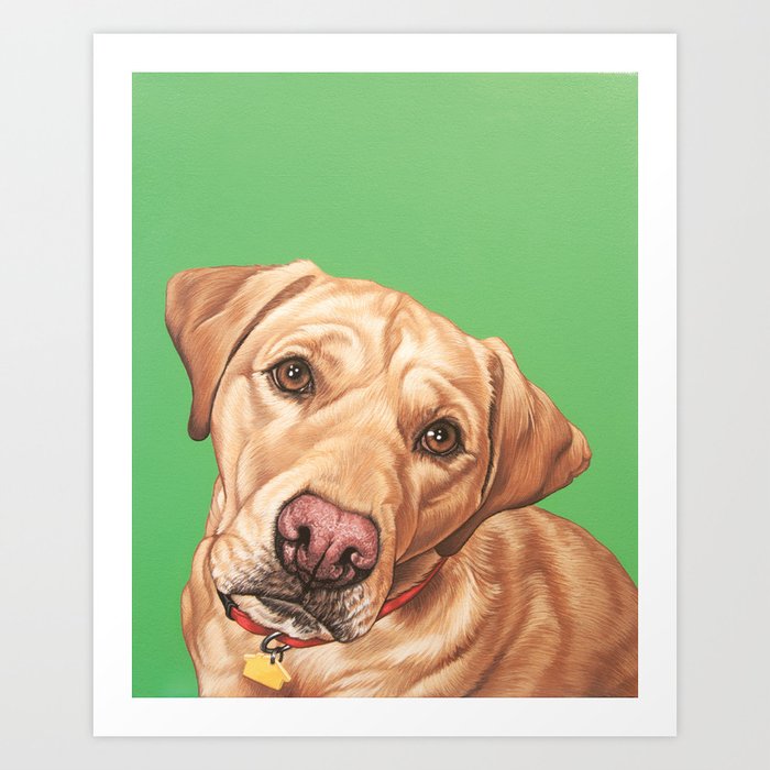 Sweet Yellow Labrador Retriever Painting Yellow Lab Dog Portrait