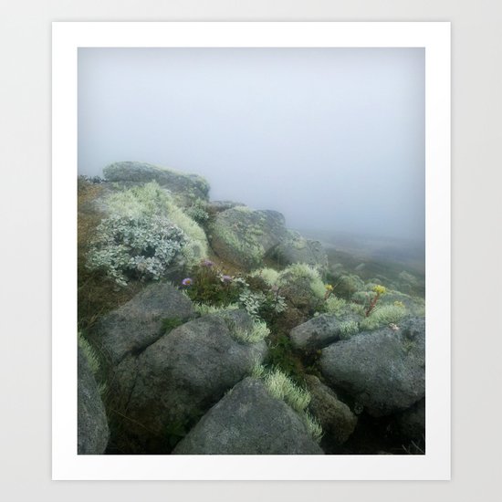 Life on the rocks Art Print