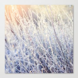 Frost bite Canvas Print