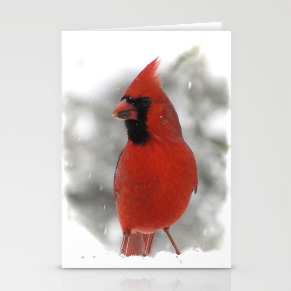 Northern Cardinal Stationery Cards