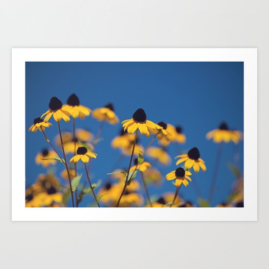reach for the sky Art Print