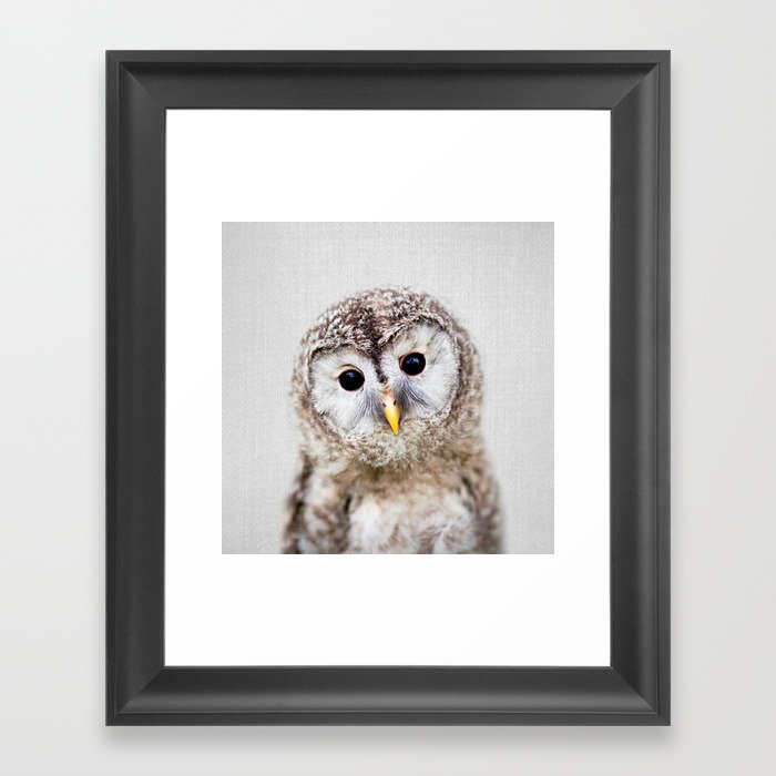 Baby Owl - Colorful Framed Art Print
