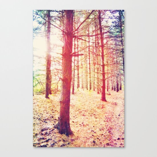 Fantasy in the Pines Canvas Print