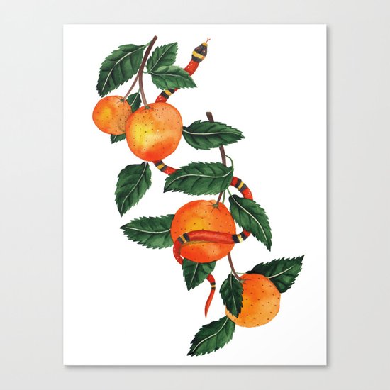 Oranges and a snake Canvas Print