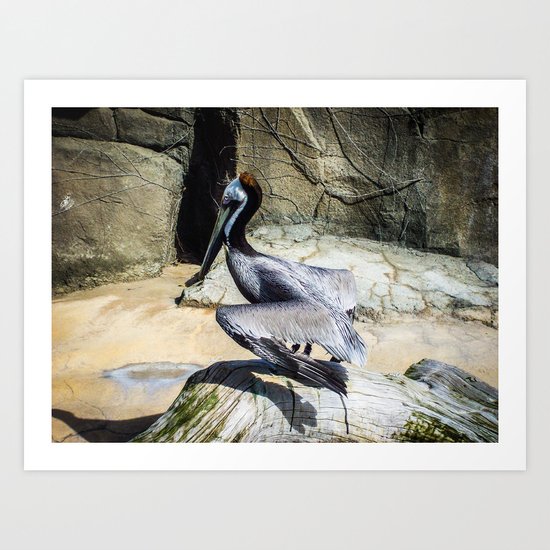 Flapping Bird Art Print