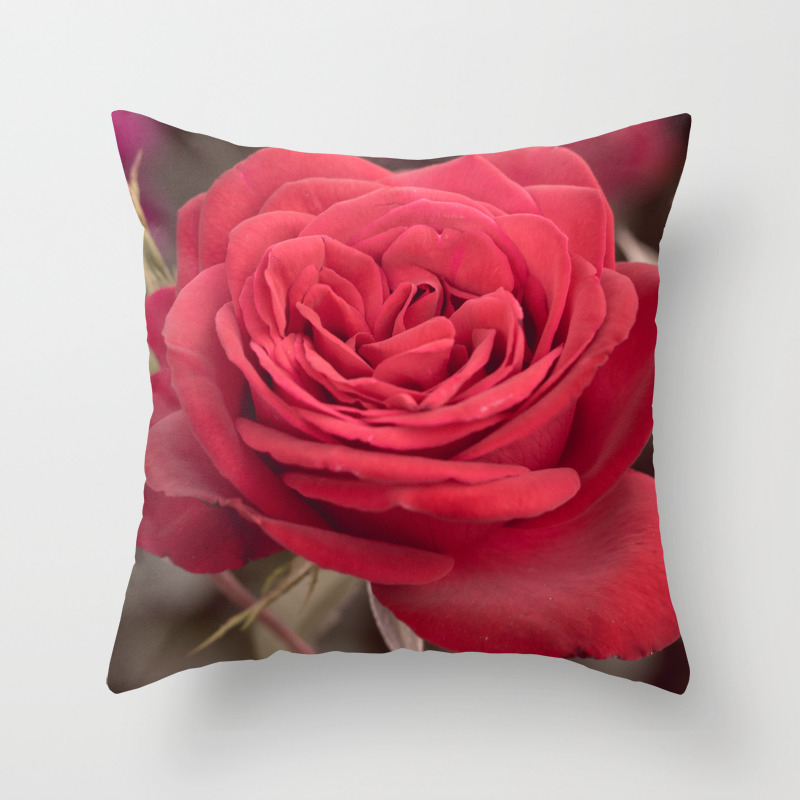Red Rose Throw Pillow Red Rose Throw Pillow