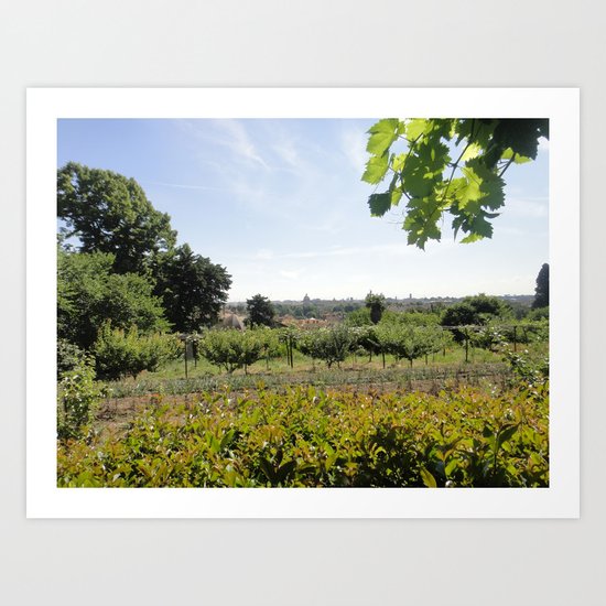 A Conclave's Vineyard Onlooking The City of Rome Art Print
