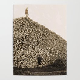 American Bison Skulls Pile to be used for fertilizer (c 1870) Poster