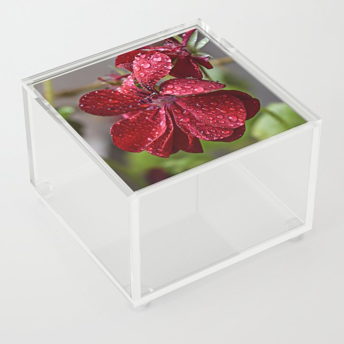 Rainy Blooming Flower Acrylic Box