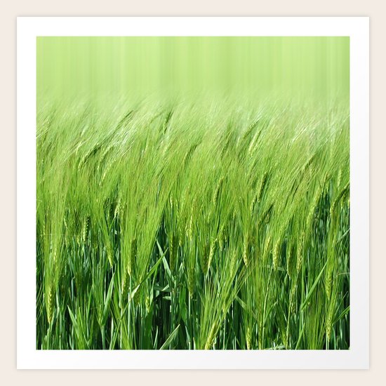AURICA FIELDS Art Print