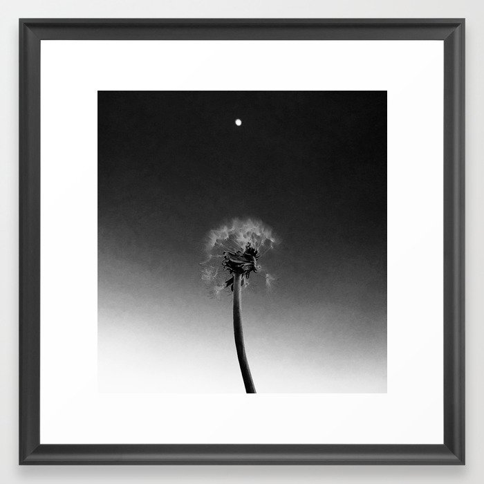Dandelion Fly Framed Art Print