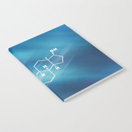 Testosterone Hormone Structural chemical formula Notebook