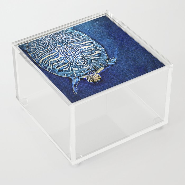 The Wisdom of the Sea Turtle Acrylic Box