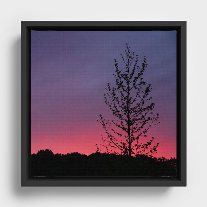 Pink Sunset Framed Canvas